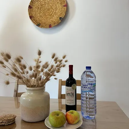 Saint George Stone Costa Demetriou Tatil Evi *