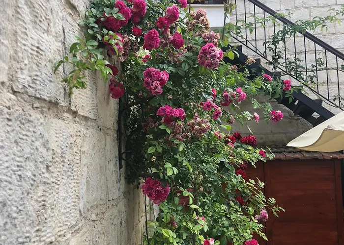 Saint George - Stone Costa * Kathikas