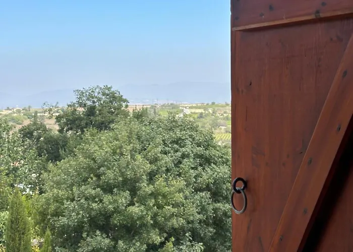 Saint George - Stone Costa *